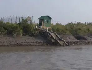 7 Watchtowers of Sundarban That You Should Never Miss Do Banki Watch Tower