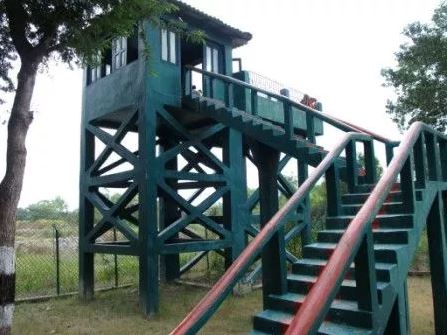 7 Watchtowers of Sundarban That You Should Never Miss - Netidhopani Watch Tower