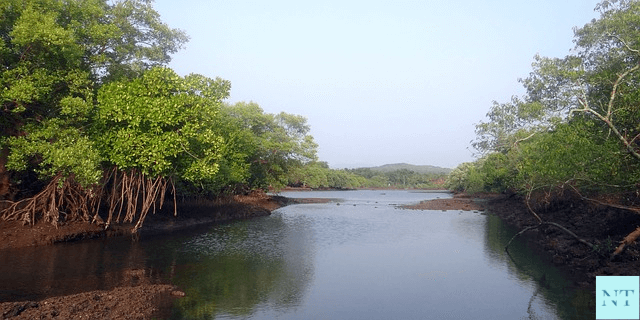 Best Time to Visit Sundarban