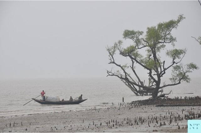 Sundarban Coastal Area