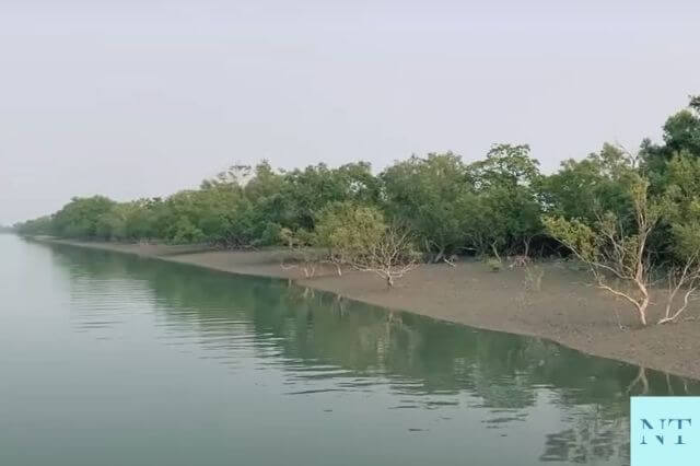 Sundarban National Park River Bank from Boat