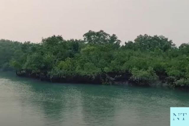 Sundarban National Park River Ride