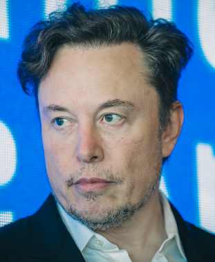 How much does Elon Musk earn per day?